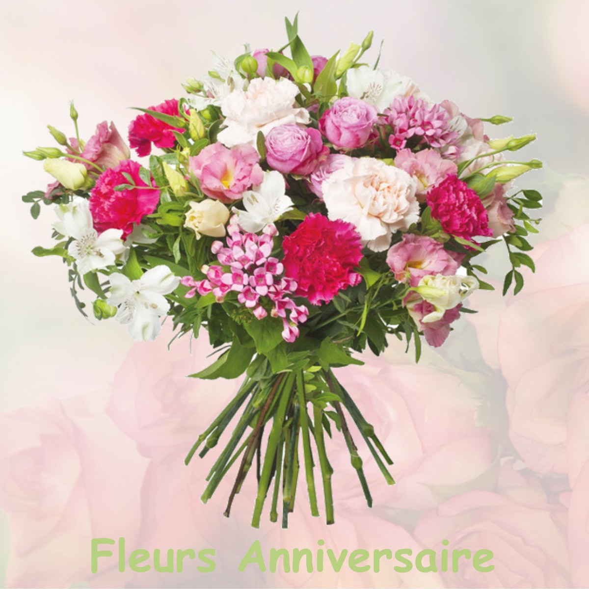 fleurs anniversaire SAINT-MARTIN-DE-BELLEVILLE